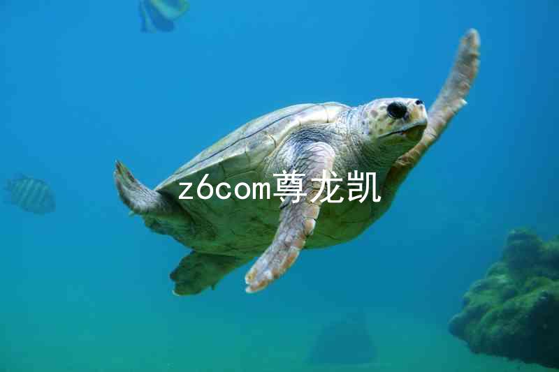 z6com尊龙凯