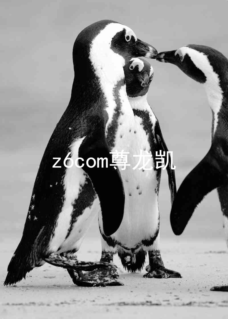 z6com尊龙凯